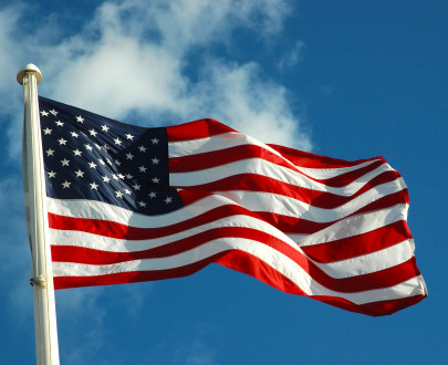 Политическое устройство США